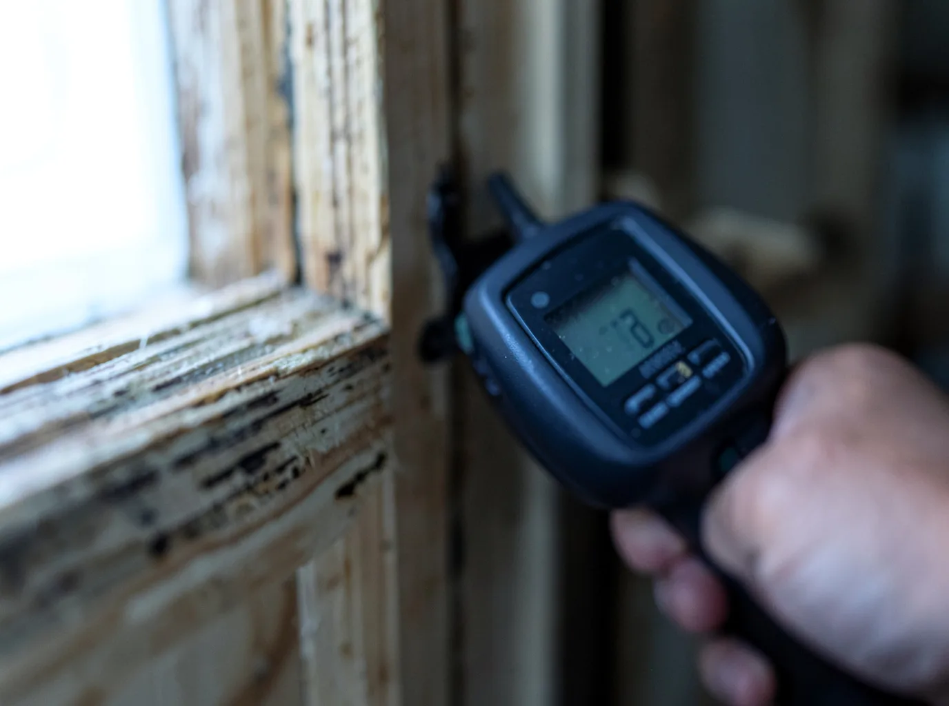 Moisture Inspection And Documentation in Pittsfield, VT